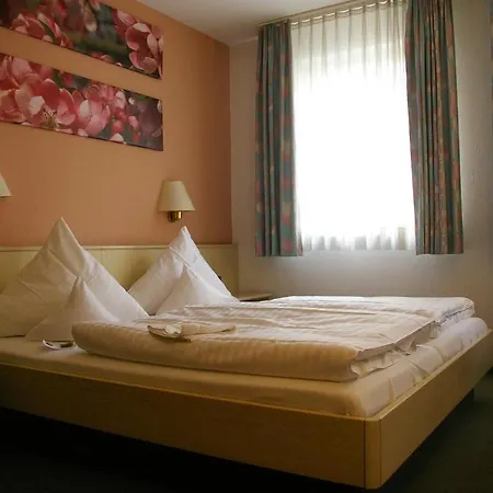 Szálloda Zum Treuen Bartel 3*