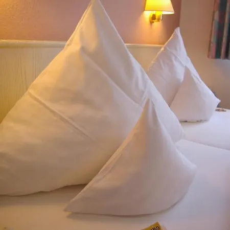 Zum Treuen Bartel 3*