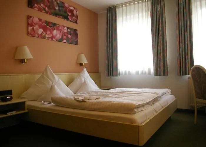 Hotel Zum Treuen Bartel 3*