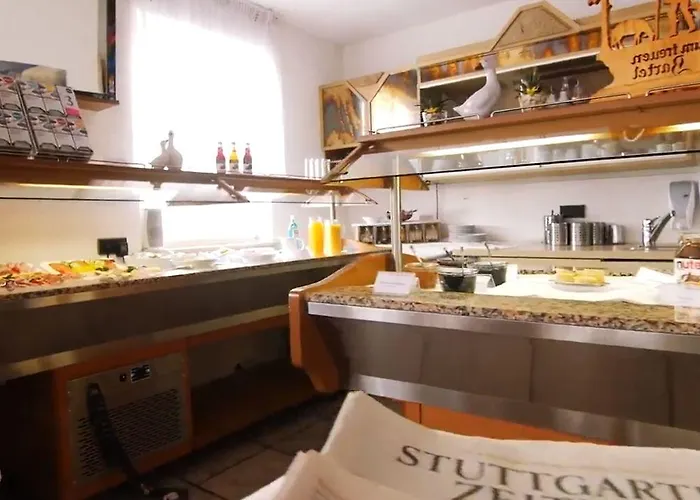 Zum Treuen Bartel מלון Markgröningen