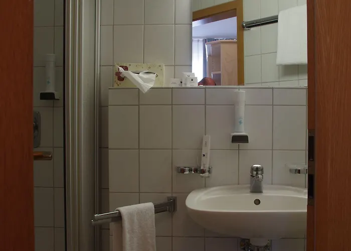 מלון Zum Treuen Bartel 3*