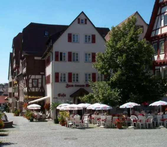 Hotel Zum Treuen Bartel Markgröningen
